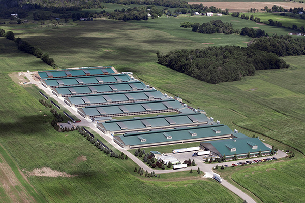 Baoding Counting Machine Co.,Ltd